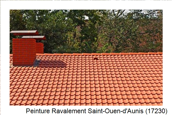 Peintre en batîment à Saint-Ouen-d'Aunis (17230)