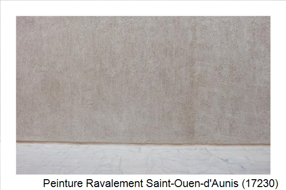 Façadier à Saint-Ouen-d'Aunis (17230)