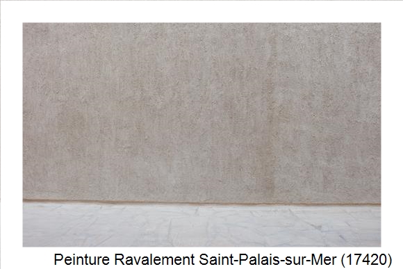 Façadier à Saint-Palais-sur-Mer (17420)