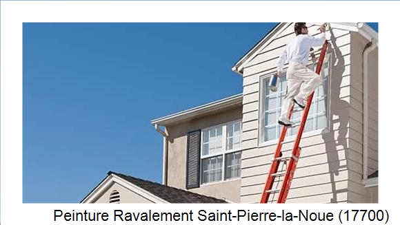 Travaux de bardage à Saint-Pierre-la-Noue (17700)