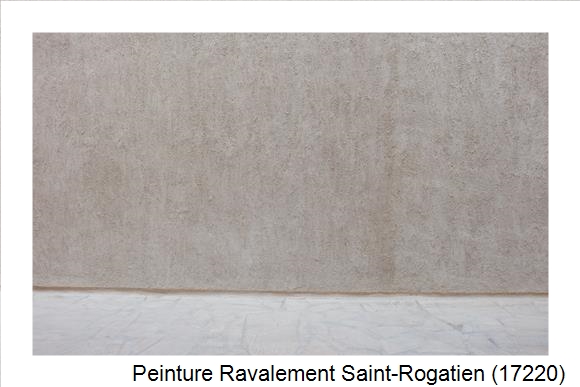 Façadier à Saint-Rogatien (17220)