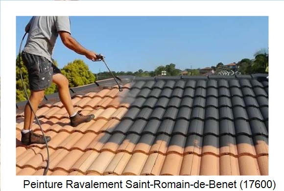 Artisan peintre à Saint-Romain-de-Benet (17600)