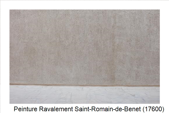 Façadier à Saint-Romain-de-Benet (17600)