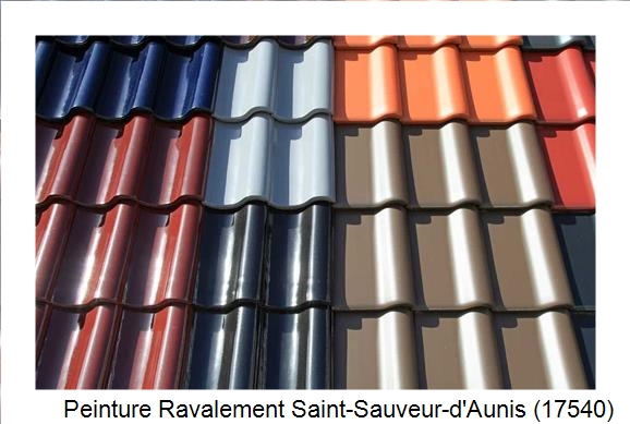 Artisan peintre à Saint-Sauveur-d'Aunis (17540)