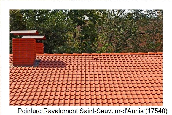 Peintre en batîment à Saint-Sauveur-d'Aunis (17540)