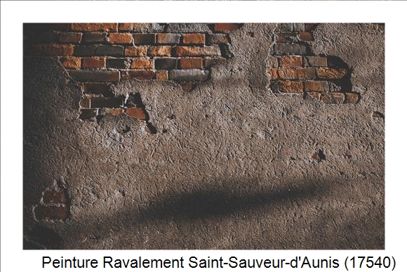 Entreprise de ravalement à Saint-Sauveur-d'Aunis (17540)