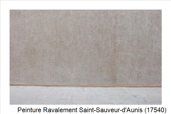 Façadier à Saint-Sauveur-d'Aunis (17540)