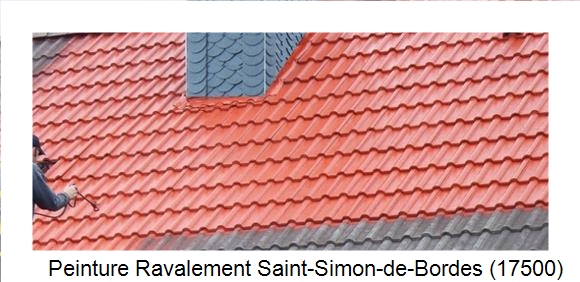¨Peinture toiture à Saint-Simon-de-Bordes (17500)