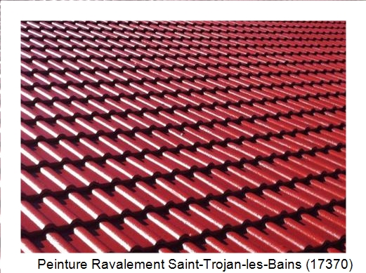 Peinture toiture à Saint-Trojan-les-Bains (17370)