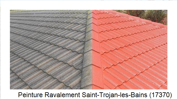 Artisan peintre à Saint-Trojan-les-Bains (17370)