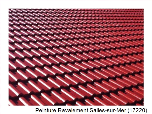 Peinture toiture à Salles-sur-Mer (17220)