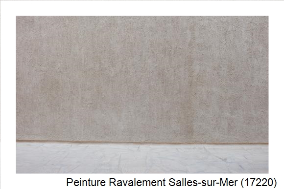 Façadier à Salles-sur-Mer (17220)