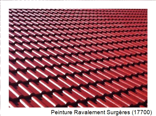 Peinture toiture à Surgères (17700)
