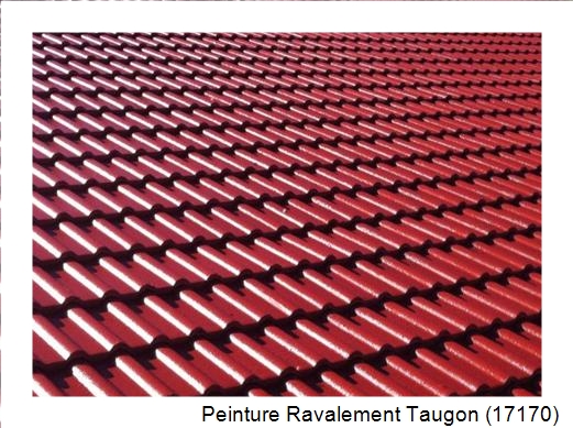 Peinture toiture à Taugon (17170)