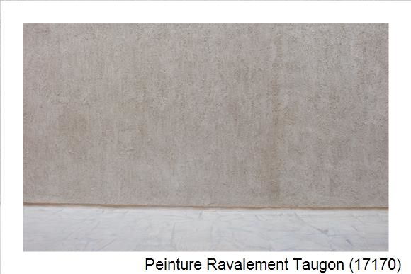 Façadier à Taugon (17170)