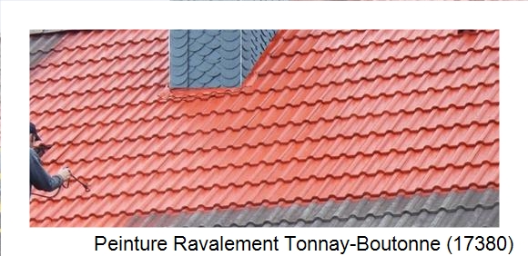 ¨Peinture toiture à Tonnay-Boutonne (17380)