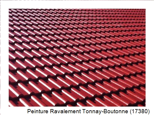 Peinture toiture à Tonnay-Boutonne (17380)