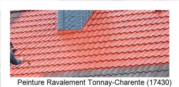 ¨Peinture toiture à Tonnay-Charente (17430)