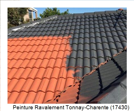 Peinture toiture à Tonnay-Charente (17430)