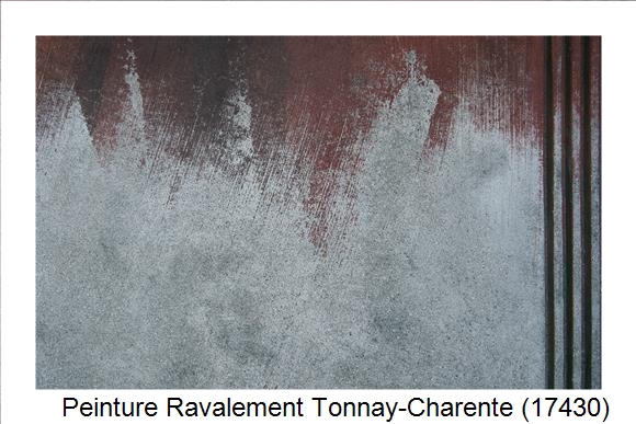 Entreprise de ravalement à Tonnay-Charente (17430)