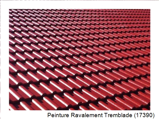 Peinture toiture à Tremblade (17390)