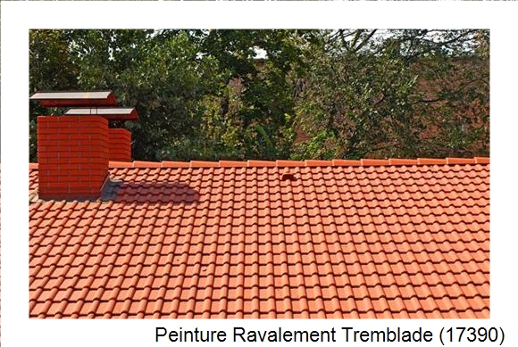 Peintre en batîment à Tremblade (17390)