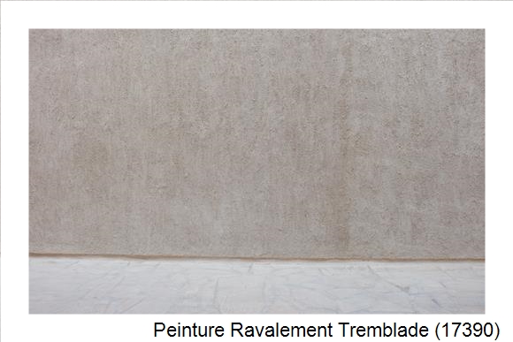 Façadier à Tremblade (17390)