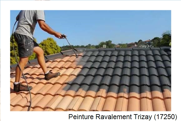 Artisan peintre à Trizay (17250)