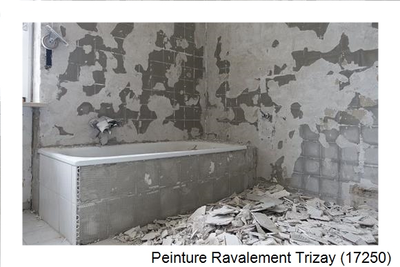 Façadier à Trizay (17250)