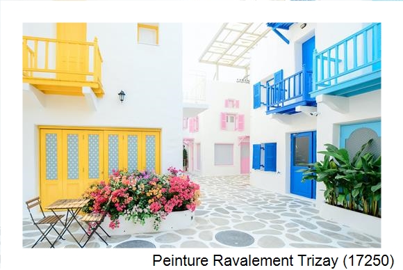 Bardage à Trizay (17250)