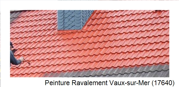 ¨Peinture toiture à Vaux-sur-Mer (17640)
