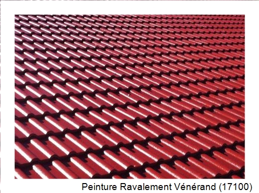 Peinture toiture à Vénérand (17100)