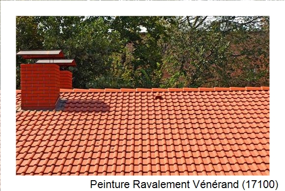 Peintre en batîment à Vénérand (17100)