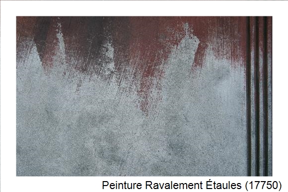 Entreprise de ravalement à Étaules (17750)